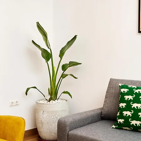 Que Bueno Que Viniste Caceres Apartment Exterior photo